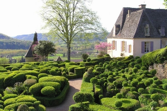 Une allée de topiaires