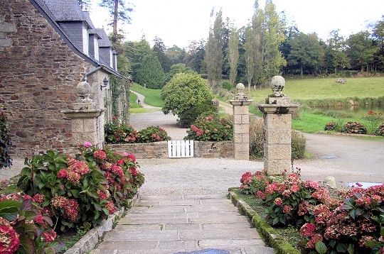 Cerclé d'hortensias