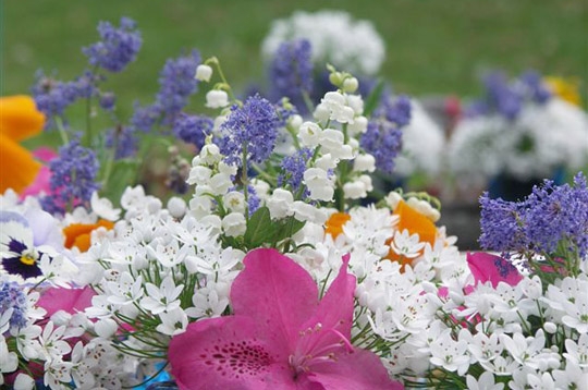 Bouquet de mai