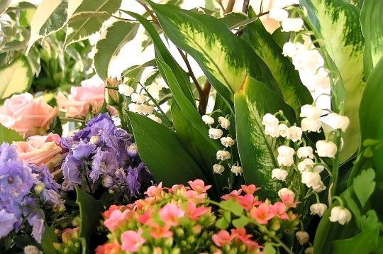 Marché aux fleurs